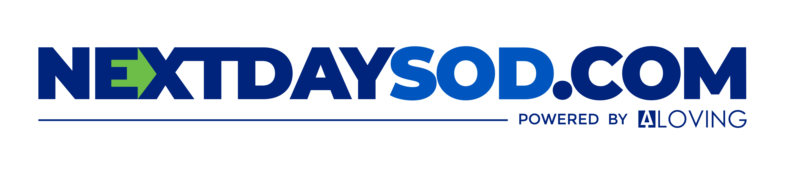  nextdaysod.com Logo